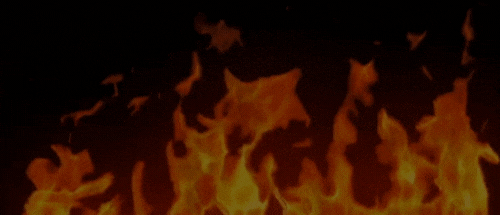 dominate video on social media, firebelly marketing