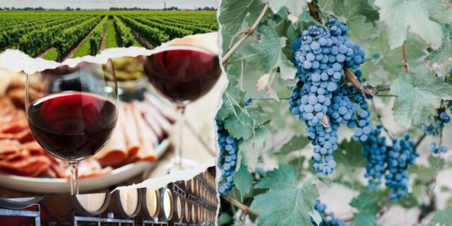 uncorking success: how wineries can leverage social media marketing , firebelly marketing