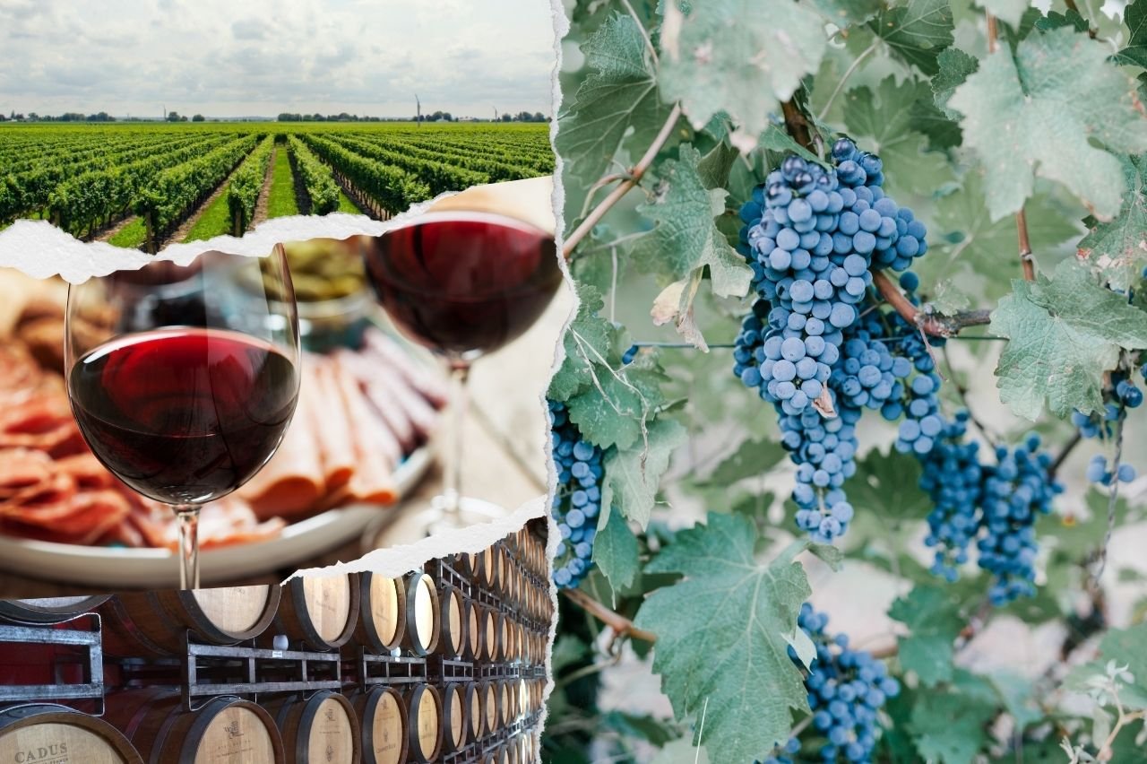 Firebelly Marketing, Uncorking Success: How Wineries Can Leverage Social Media Marketing&Nbsp; uncorking success: how wineries can leverage social media marketing , firebelly marketing