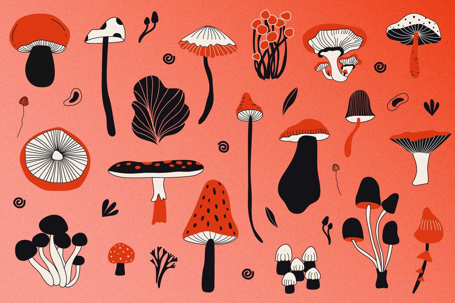 Firebelly Marketing, Why Mushrooms Are Trending In The Food And Beverage Industry: Consumers Crave Adaptogenic Magic why mushrooms are trending in the food and beverage industry: consumers crave adaptogenic magic, firebelly marketing