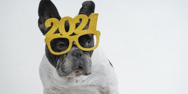 firebelly’s social media marketing predictions for 2021, firebelly marketing