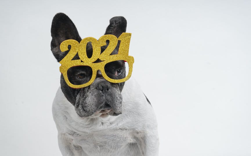 firebelly’s social media marketing predictions for 2021, firebelly marketing